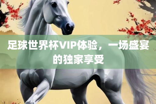 足球世界杯VIP体验，一场盛宴的独家享受广西贺州市华昌新材料有限公司