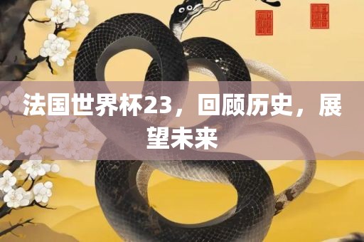 法国世界杯23，回顾历史，展望未来