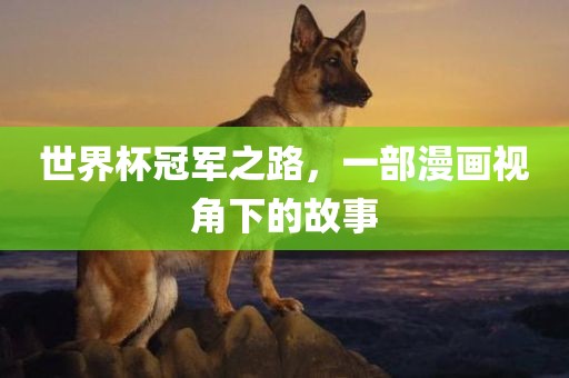 世界杯冠军之路，一部漫画视角下的故事