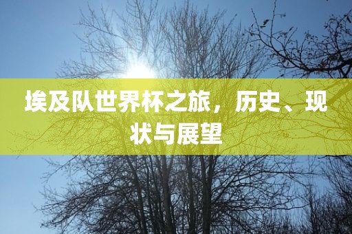 埃及队世界杯之旅，历史、现状与展望广西贺州市华昌新材料有限公司
