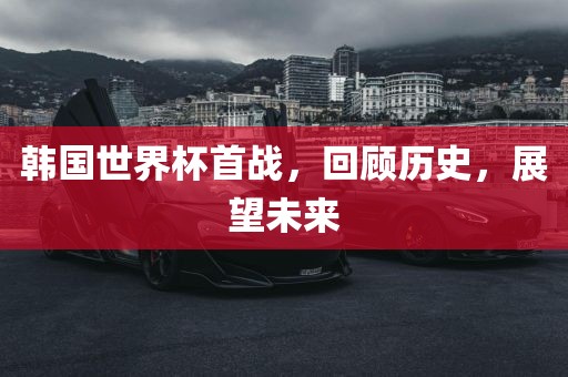 韩国世界杯首战，回顾历史，展望未来广西贺州市华昌新材料有限公司