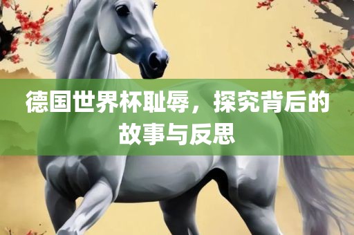 德国世界杯耻辱，探究背后的故事与反思广西贺州市华昌新材料有限公司