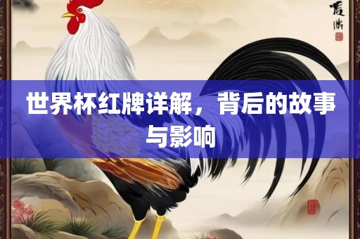 世界杯红牌详解，背后的故事与影响