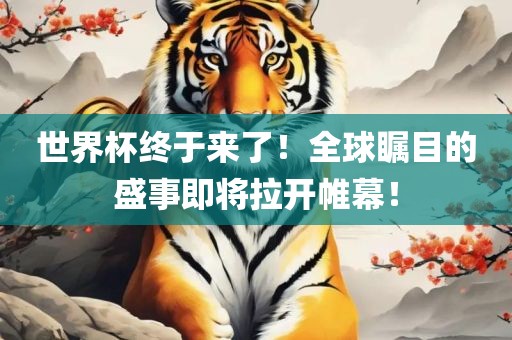 世界杯终于来了！全球瞩目的盛事即将拉开帷幕！广西贺州市华昌新材料有限公司