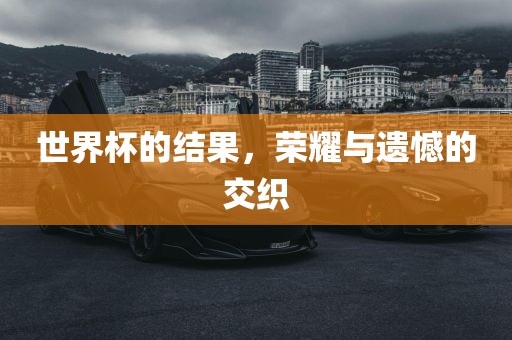 世界杯的结果，荣耀与遗憾的交织