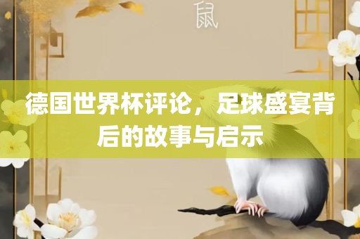 德国世界杯评广西贺州市华昌新材料有限公司论，足球盛宴背后的故事与启示