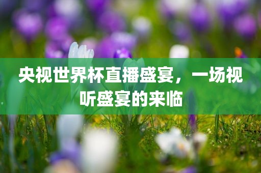 央视世界杯直播盛宴，一场视听盛宴的来临