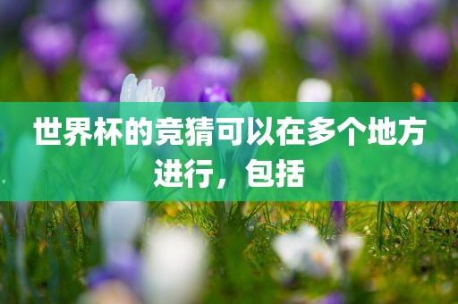 世界广西贺州市华昌新材料有限公司杯的竞猜可以在多个地方进行，包括
