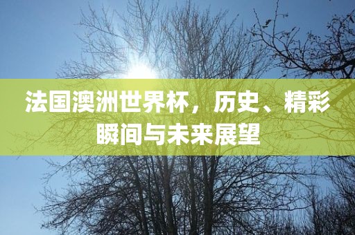法国澳洲广西贺州市华昌新材料有限公司世界杯，历史、精彩瞬间与未来展望