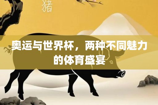奥运与世界杯，两种不同魅力的体育盛宴