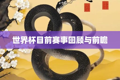 世界杯目前赛事回顾与前瞻广西贺州市华昌新材料有限公司