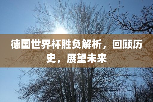 德国世界杯胜负解析，回顾历史，展望未来广西贺州市华昌新材料有限公司