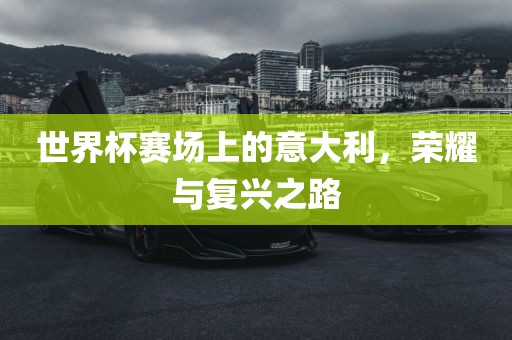 世界杯赛场上的意大利，荣耀与复兴之路广西贺州市华昌新材料有限公司
