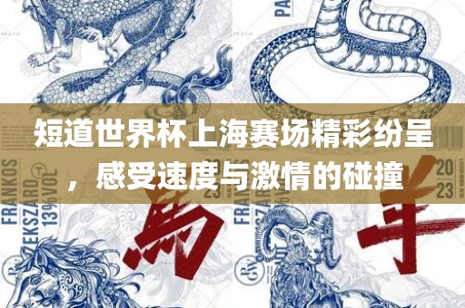 短道世界杯上海赛场精彩纷呈，感受速度与激情的碰撞