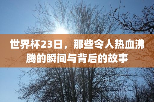 世界杯23日，那些令人热血沸腾的瞬间与背后的故事广西贺州市华昌新材料有限公司
