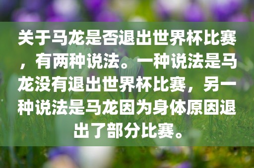 关于马龙是否退出世界杯比赛，有两种说法。一种说法是马龙没有退出世界杯比赛，另一种说法是马龙因为身体原因退出了部分比赛。广西贺州市华昌新材料有限公司