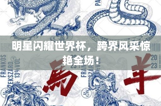 广西贺州市华昌新材料有限公司明星闪耀世界杯，跨界风采惊艳全场！