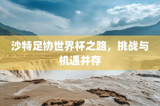 沙特足协世界杯之路，挑战与机遇并存广西贺州市华昌新材料有限公司