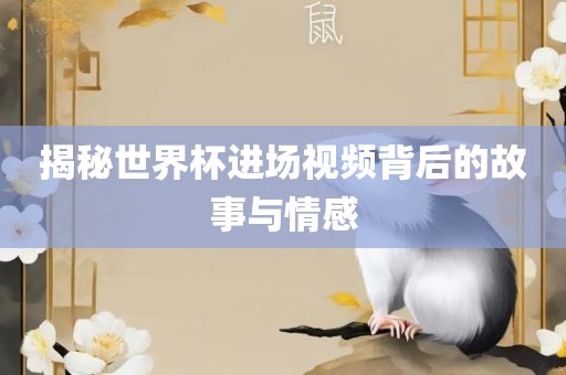 揭秘广西贺州市华昌新材料有限公司世界杯进场视频背后的故事与情感