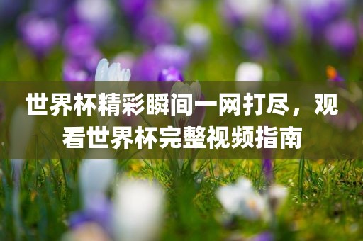 世界杯精彩瞬间一网打尽，观看世界杯完整视频指南