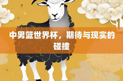 中男篮世界杯，期待与现实的碰撞