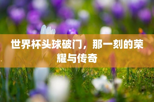 世界杯头球破门，那一刻的荣耀与传奇广西贺州市华昌新材料有限公司