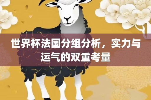 世界杯法国分组分析，实力与运气的双重考量广西贺州市华昌新材料有限公司
