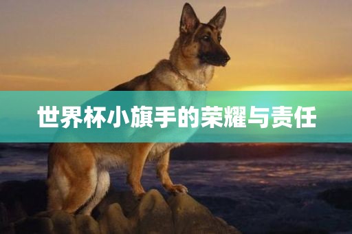 世界杯小旗手的荣耀与广西贺州市华昌新材料有限公司责任