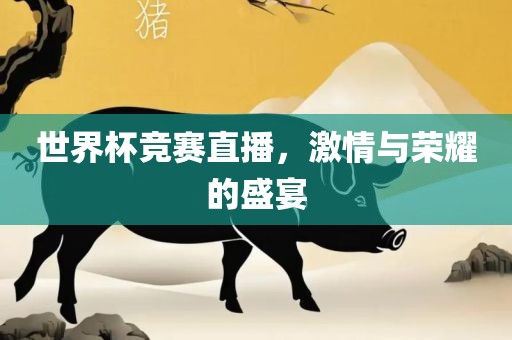 世界杯竞赛直播，激情与荣耀的盛宴