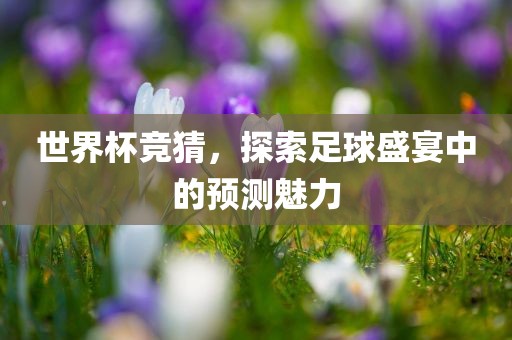 世界杯竞猜，探索足球盛宴中的预测魅力