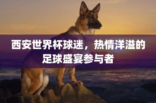 西安世界杯球迷，广西贺州市华昌新材料有限公司热情洋溢的足球盛宴参与者