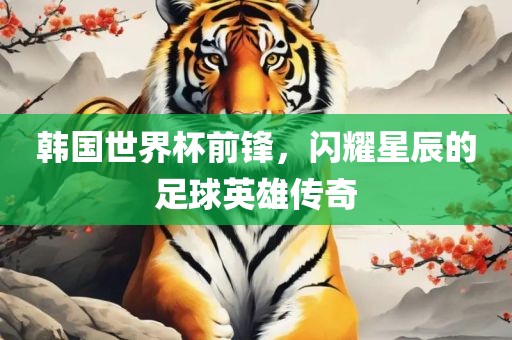韩国世界杯前锋，闪耀星辰的足球英雄传奇广西贺州市华昌新材料有限公司