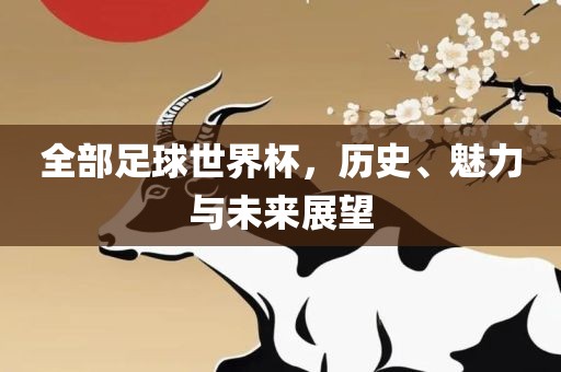 全部足球世界杯，历史、魅力与未来展望
