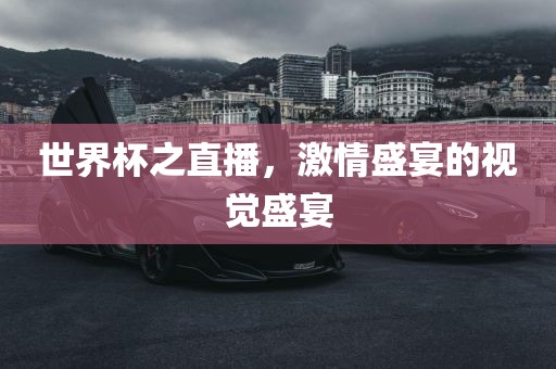 世界杯之直播，激情盛宴的视觉盛宴广西贺州市华昌新材料有限公司