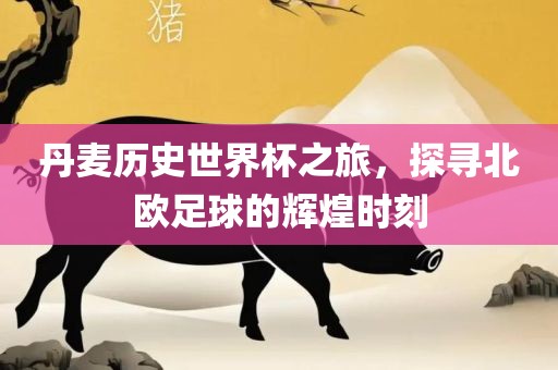 丹麦历史世界杯之旅，探寻北欧足球的辉煌时刻广西贺州市华昌新材料有限公司