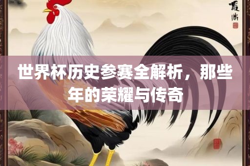 世界杯历史参赛全解析，那些年的荣耀与传奇
