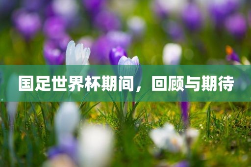 国足世界杯期间，回顾与期待