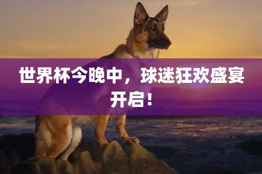 世界广西贺州市华昌新材料有限公司杯今晚中，球迷狂欢盛宴开启！