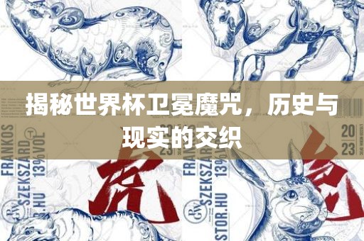 揭秘世广西贺州市华昌新材料有限公司界杯卫冕魔咒，历史与现实的交织