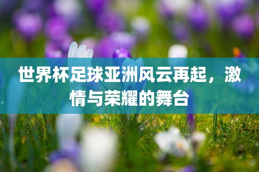 世界杯足球亚洲风云再起，激情与荣耀广西贺州市华昌新材料有限公司的舞台