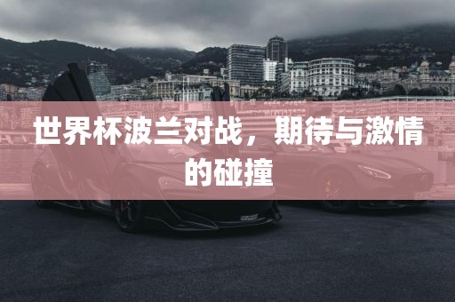 世界杯波兰对战，期待与激情的碰撞