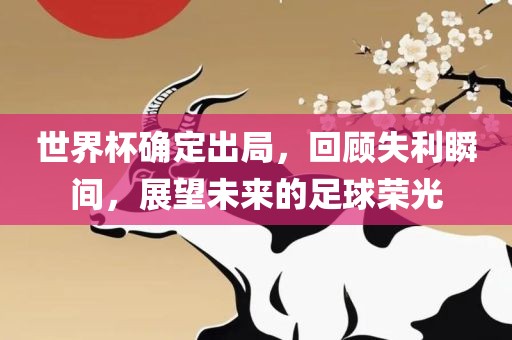世界杯确定出局，回顾失利瞬间，展望未来的足球荣光广西贺州市华昌新材料有限公司