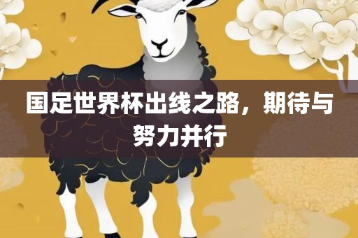广西贺州市华昌新材料有限公司国足世界杯出线之路，期待与努力并行