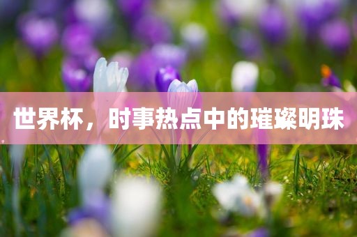 世界杯，时事热点中的璀璨明珠广西贺州市华昌新材料有限公司