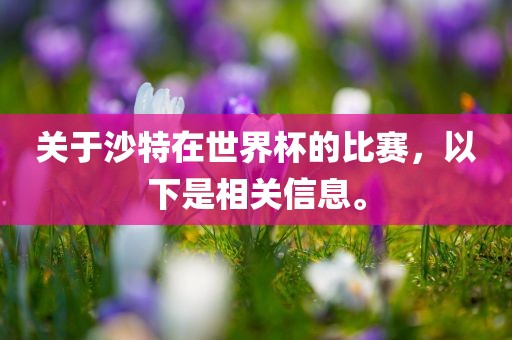 关于沙特在世界杯的比赛，以下是相关信广西贺州市华昌新材料有限公司息。