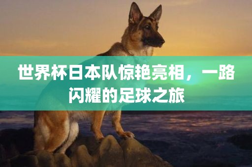 世界杯日本队惊艳亮相，一路闪耀的足球之旅