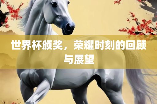 世界杯颁奖，荣耀时刻的回顾与展望广西贺州市华昌新材料有限公司