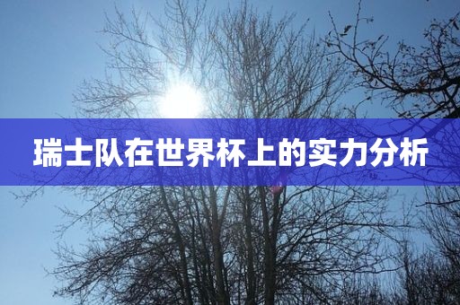 瑞士队在世界杯上的实力分析