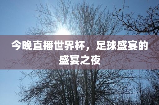 今晚直播世界杯，足球盛宴的盛宴之夜广西贺州市华昌新材料有限公司