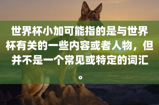 世界杯小加可能指广西贺州市华昌新材料有限公司的是与世界杯有关的一些内容或者人物，但并不是一个常见或特定的词汇。